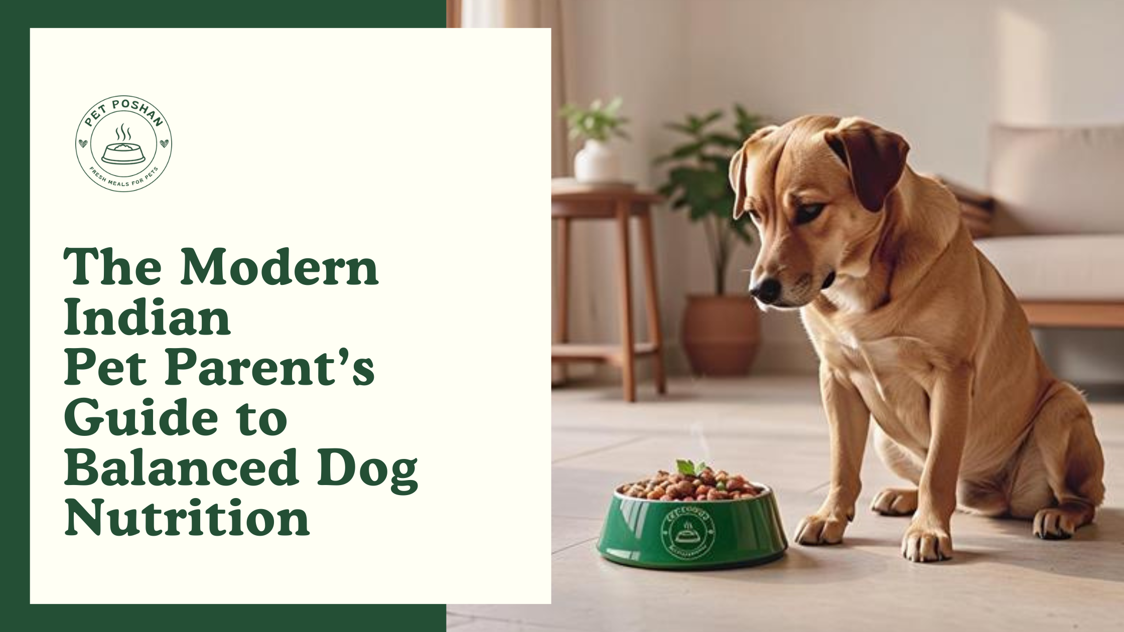 The Modern Indian Pet Parent’s Guide to Balanced Dog Nutrition