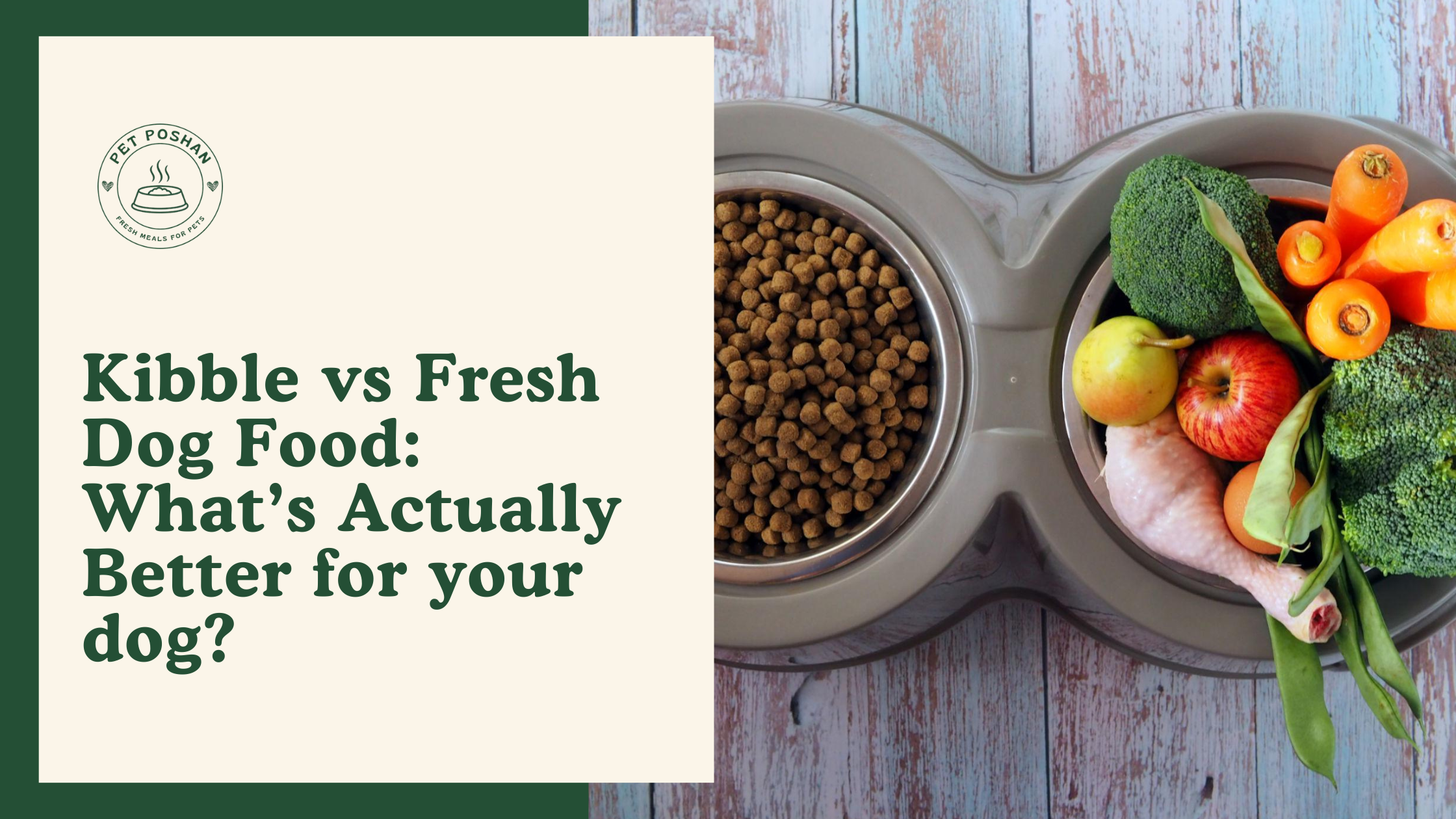 Kibble vs Fresh Dog Food: What’s Actually Better for your dog?