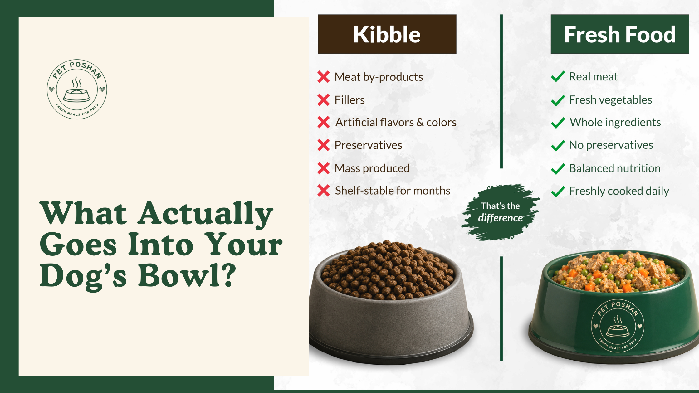 What Actually Goes Into Your Dog’s Bowl? Fresh vs Kibble Ingredients Explained