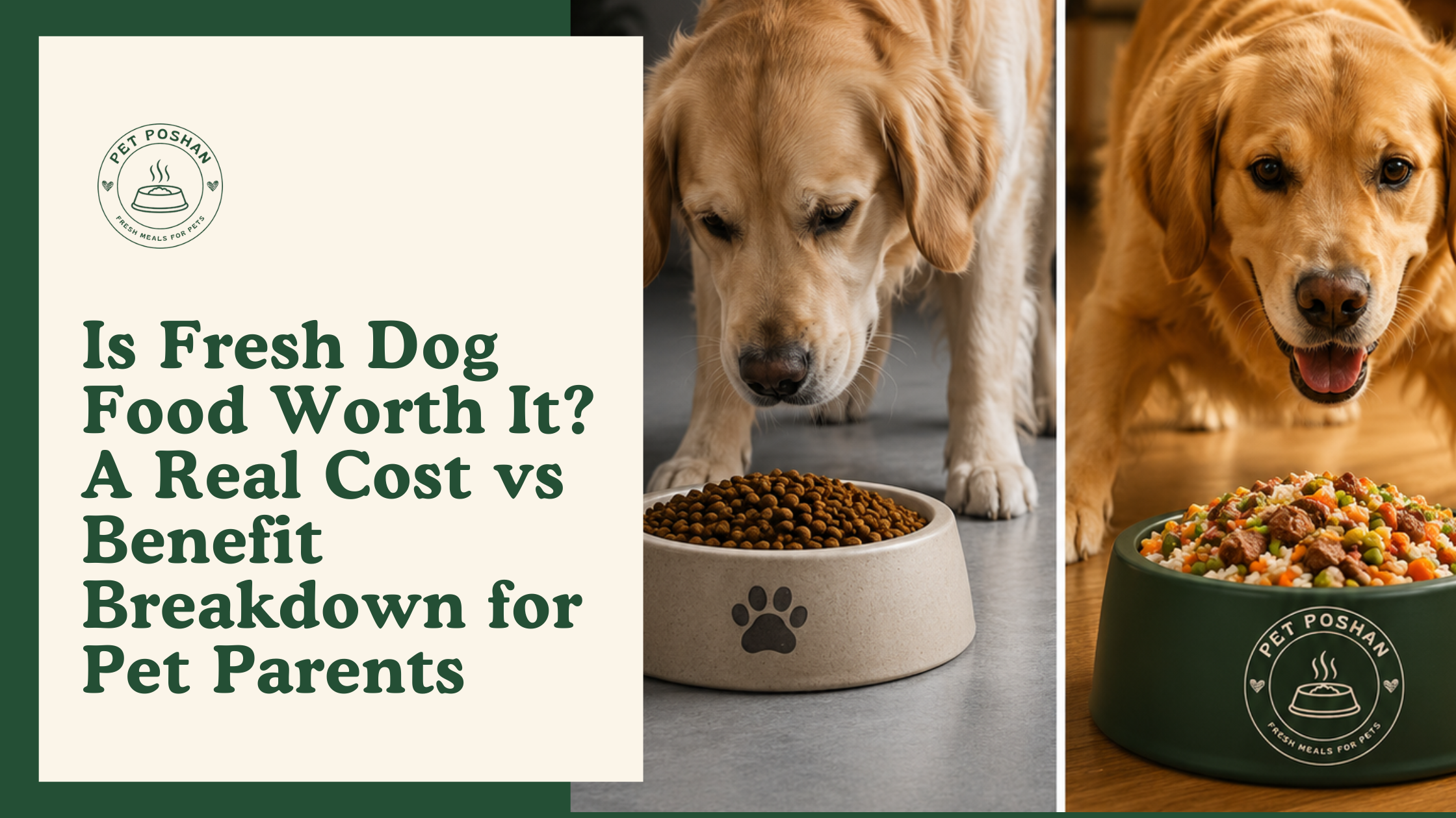 Is Fresh Dog Food Worth It? A Real Cost vs Benefit Breakdown for Pet Parents